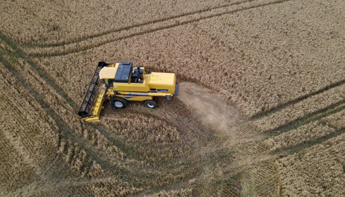  VBP 2023: confira as cidades campeãs de 22 culturas do agronegócio paranaense